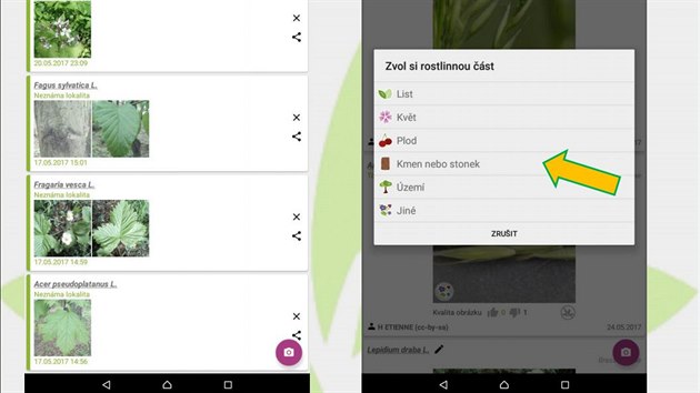 Pokud se zaregistrujete, mete vloit i dal fotografie rostliny. 