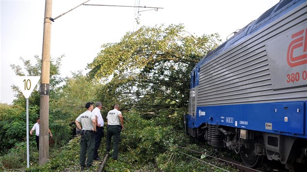 Vlak EC 173 najel u slovensk obce Brodsk do spadlho stromu (10. srpna 2017).