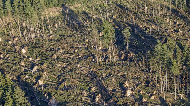 Leteck przkum ukzal rozshl lesn polom u obce Libatov na Trutnovsku (14. 8. 2017).
