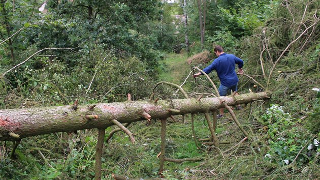 Po boui s derechem vznikl na Trutnovsku rozshl lesn polom. Lid se pustili do odstraovn nsledk kod (16.8.2017).