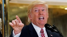 Donald Trump na tiskové konferenci v Trump Tower v centru Manhattanu (15. srpna... Donald Trump na tiskové konferenci v Trump Tower v centru Manhattanu (15. srpna...