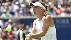 Dánská tenistka Caroline Wozniacká ve finále Rogers Cupu proti Jelen...