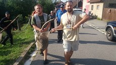 Klokana tuláka Kukiho se podařilo odchytit nedaleko Jihlavy. Klokana tuláka Kukiho se podařilo odchytit nedaleko Jihlavy.