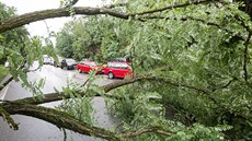 Spadlý strom komplikoval dopravu na hlavním tahu z Českých Budějovic na Český... Spadlý strom komplikoval dopravu na hlavním tahu z Českých Budějovic na Český...