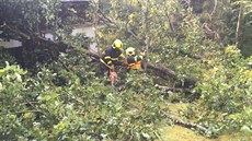 Bouřky zaměstnaly hasiče v Moravskoslezském kraji. V noci na pátek zaznamenali... Bouřky zaměstnaly hasiče v Moravskoslezském kraji. V noci na pátek zaznamenali...