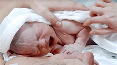Z pořadu Malé lásky Z pořadu Malé lásky