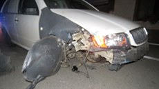 Řidič si při havárii na mostě ve Velkém Týnci urazil kolo, policistům pak řekl,... Řidič si při havárii na mostě ve Velkém Týnci urazil kolo, policistům pak řekl,...