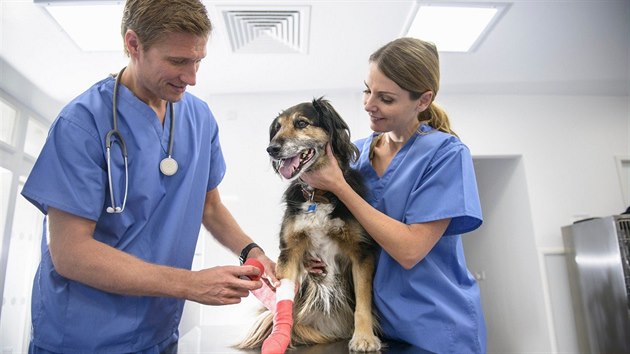 Osina se pod kůží nejen zanítí, ale dokáže pod ní i cestovat. Osina se pod kůží nejen zanítí, ale dokáže pod ní i cestovat.