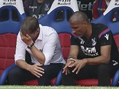 VMLUVN GESTO. Frank de Boer, trenr fotbalist Crystal Palace, schovv...