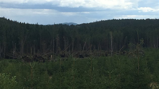 Nkter turistick stezky a cyklotrasy v Nrodnm parku umava jsou po vkendov bouce nepstupn.