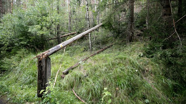 Polomy na Šumavě v okolí Nové Pece.