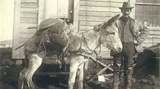 Za zlatým snem šly v Americe tisíce prospektorů. Kromě štěstí, zklamání a dřiny... Za zlatým snem šly v Americe tisíce prospektorů. Kromě štěstí, zklamání a dřiny...