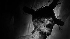 Darkwood Darkwood