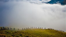 OBRAZEM: Takový byl letos nejvtí trailový festival Columbia UTMB