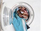 Krištof Kintera, We All Want to Be Cleaned, 2017 Krištof Kintera, We All Want to Be Cleaned, 2017