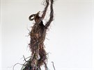 Krištof Kintera, Electrons Seeking Spirit, 2016 Krištof Kintera, Electrons Seeking Spirit, 2016