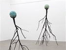 Krištof Kintera, Nervous Trees, 2013 Krištof Kintera, Nervous Trees, 2013
