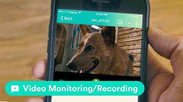 Mobiln aplikace sleduje psa a mete si i natet videa.