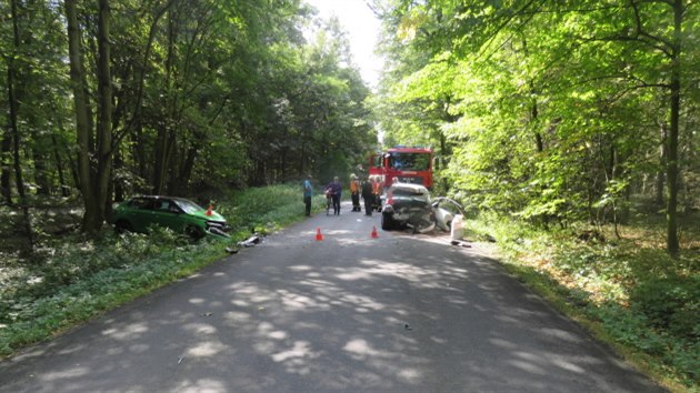 Siln opil idi pejel na Perovsku na rovnm seku silnice do protismru a eln se srazil s protijedoucm vozem. Ten nraz odhodil do pkopu.