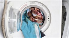 Krištof Kintera, We All Want to Be Cleaned, 2017 Krištof Kintera, We All Want to Be Cleaned, 2017
