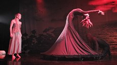 Divadlo J. K. Tyla v Plzni zahájí sezonu pohádkou Malá mořská víla. (1. 9. 2017) Divadlo J. K. Tyla v Plzni zahájí sezonu pohádkou Malá mořská víla. (1. 9. 2017)