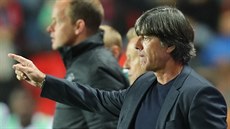 Trenér nmeckých fotbalist Joachim Löw bhem zápasu s eskou republikou.