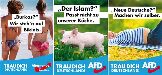 Pedvolební plakáty nmecké AfD