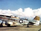 F-51D F-51D