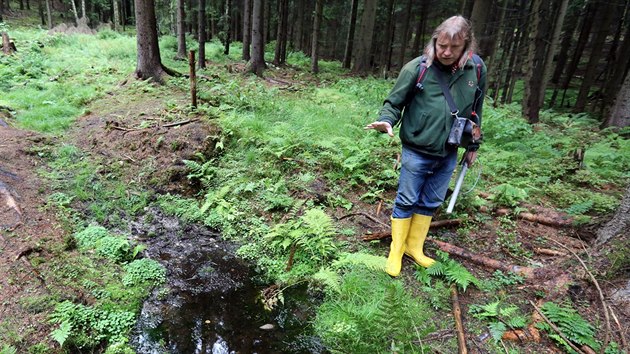 Viktor Goli, odborn asistent z Prodovdeck fakulty Univerzity Karlovy, u pirozenho vvru nejradioaktivnjho pramene v lese u Plesn.