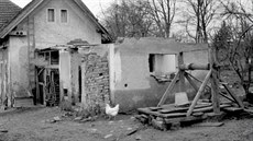 Trosky jednoho z domů ve vysídlené obci Netvořice na Benešovsku. Trosky jednoho z domů ve vysídlené obci Netvořice na Benešovsku.