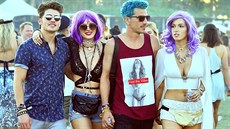 Ledvinka jako oslnivý doplněk je opět v módě. Potěší nejen milovníky... Ledvinka jako oslnivý doplněk je opět v módě. Potěší nejen milovníky...