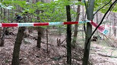 Houbař našel v lese na Českobudějovicku kostru ženy (16. září 2017). Houbař našel v lese na Českobudějovicku kostru ženy (16. září 2017).