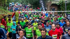 Craft RUNGO běh brněnskou zoo 2017. Craft RUNGO běh brněnskou zoo 2017.