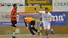 Jičínský házenkář Radek Král (vpravo) se sice raduje z gólu, který týmu Zubří... Jičínský házenkář Radek Král (vpravo) se sice raduje z gólu, který týmu Zubří...