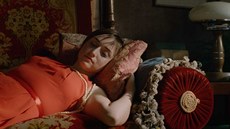 Z filmu Kdo je kdo v mykologii Z filmu Kdo je kdo v mykologii
