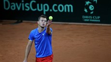 Český tenista Adam Pavlásek se chystá na servis ve čtyřhře v daviscupové baráži... Český tenista Adam Pavlásek se chystá na servis ve čtyřhře v daviscupové baráži...