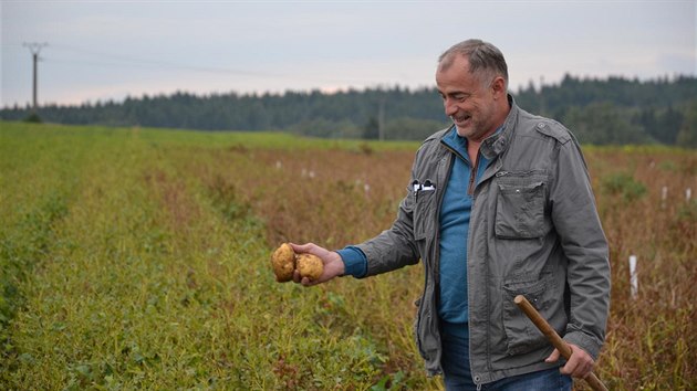 Jiří Nevosád ukazuje vzorek letošní úrody brambor.