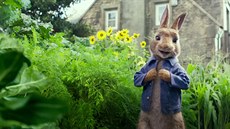 Trailer k filmu Králíček Petr Trailer k filmu Králíček Petr