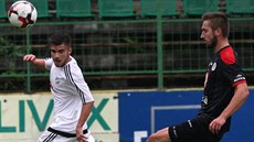 Momentka z utkání HFK Olomouc - Hradec Králové Momentka z utkání HFK Olomouc - Hradec Králové