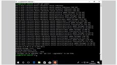 Windows Subsystem for Linux umožní ve Windows spouštět nativně Linuxové... Windows Subsystem for Linux umožní ve Windows spouštět nativně Linuxové...