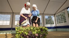 V boršickém vinařství Dvůr pod starýma horama si připomněli začátek sklizně... V boršickém vinařství Dvůr pod starýma horama si připomněli začátek sklizně...