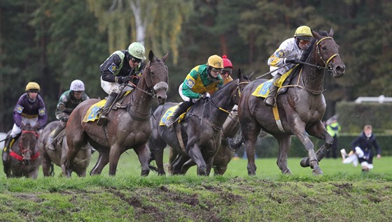 KON PÁDÍ CÍLI VSTÍC. Momentka ze 127. Velké pardubické