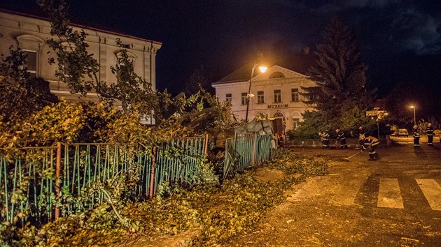 tvrtení mohutný vítr porazil památný strom ve Varnsdorfu.