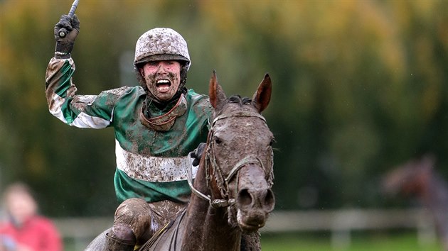 127. Velkou pardubickou ovldl No Time To Lose v sedle s okejem Janem Kratochvlem.