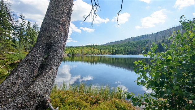 Prilsk jezero na umav.