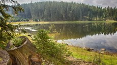 Nový rybník ve Slavkovském lese vyhlásila Správa CHKO Slavkovský les chráněným... Nový rybník ve Slavkovském lese vyhlásila Správa CHKO Slavkovský les chráněným...