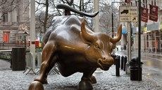 Útoící býk a dívka na Wall Street v New Yorku.