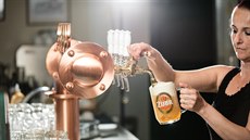 Pivovar Zubr si před několika dny odvezl z prestižní degustační soutěže České... Pivovar Zubr si před několika dny odvezl z prestižní degustační soutěže České...