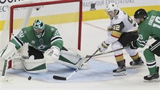 Tomáš Nosek (v bílém) z Vegas před dallaským gólmanem Benem Bishopem, brání ho... Tomáš Nosek (v bílém) z Vegas před dallaským gólmanem Benem Bishopem, brání ho...