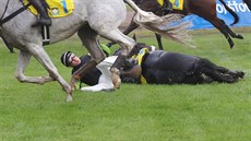PÁD NA TAXISU. Momentka ze 127. Velké pardubické PÁD NA TAXISU. Momentka ze 127. Velké pardubické